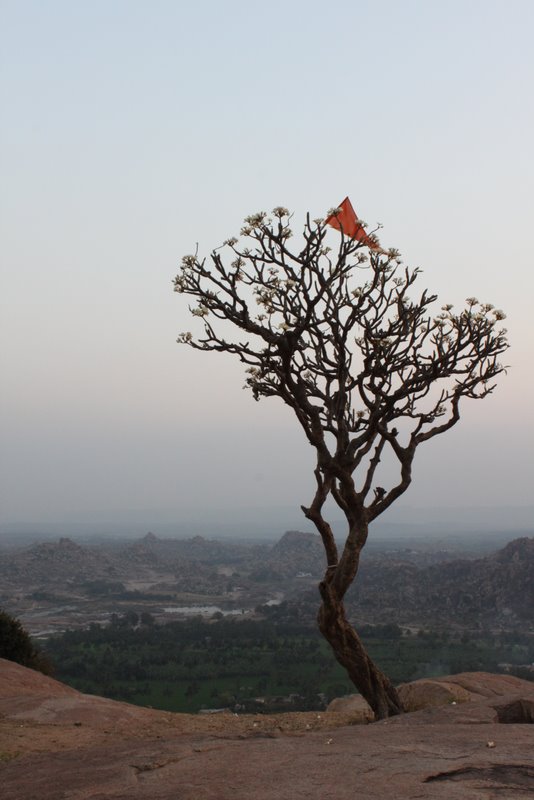 India 2010 - Hampi - Hanuman Temple